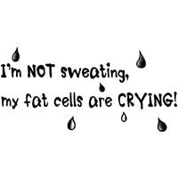 I'm Not Sweating, My Fat Cells Are Crying