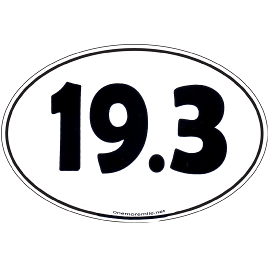 Large Oval Sticker "19.3"