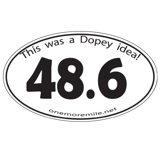 Car Magnet "48.6:  This Was A Dopey Idea"