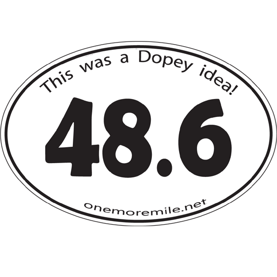 Large Oval Sticker "48.6:  This Was A Dopey Idea!"